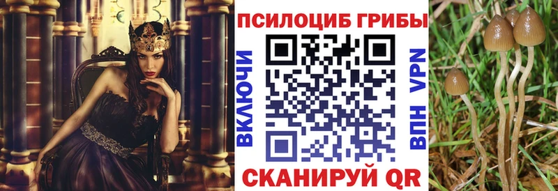 Галлюциногенные грибы MAGIC MUSHROOMS  Купить  Александровск 
